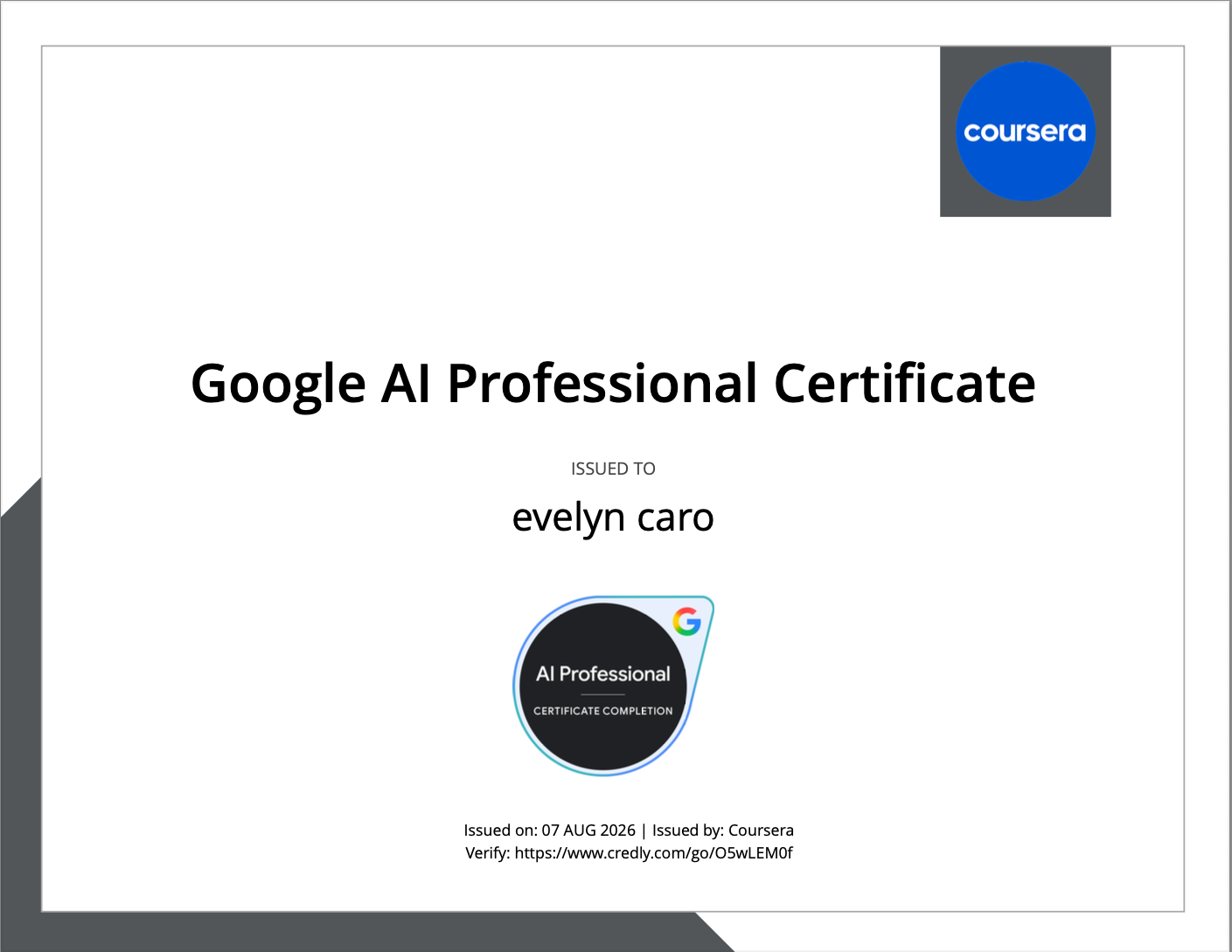 Google AI Professional Certificate